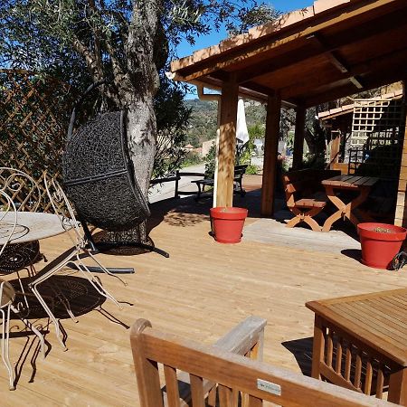 Le Chalet De Valentine & Laurent Olmiccia Dış mekan fotoğraf