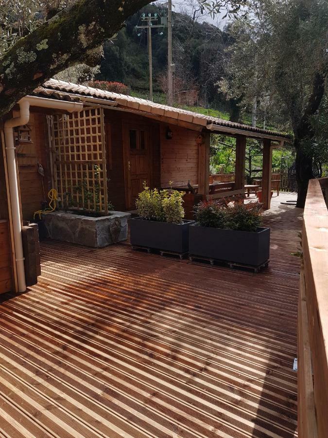 Le Chalet De Valentine & Laurent Olmiccia Dış mekan fotoğraf